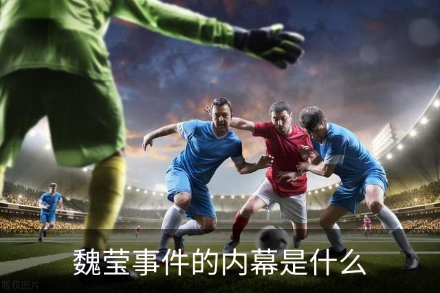 魏莹事件的内幕是什么